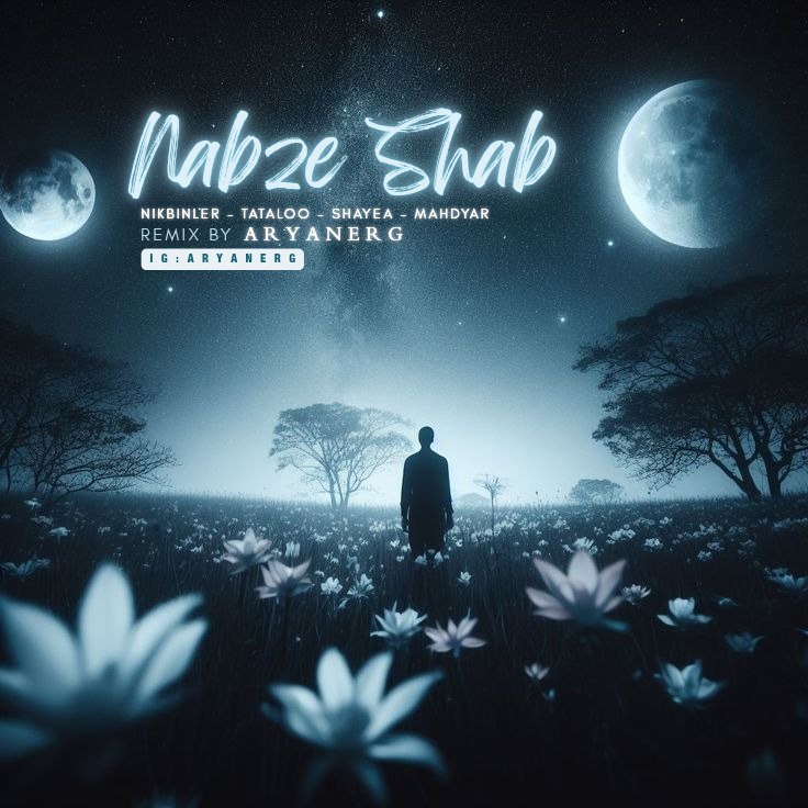 نیکبینلر امیر تتلو شایع مهدیار نبض شب